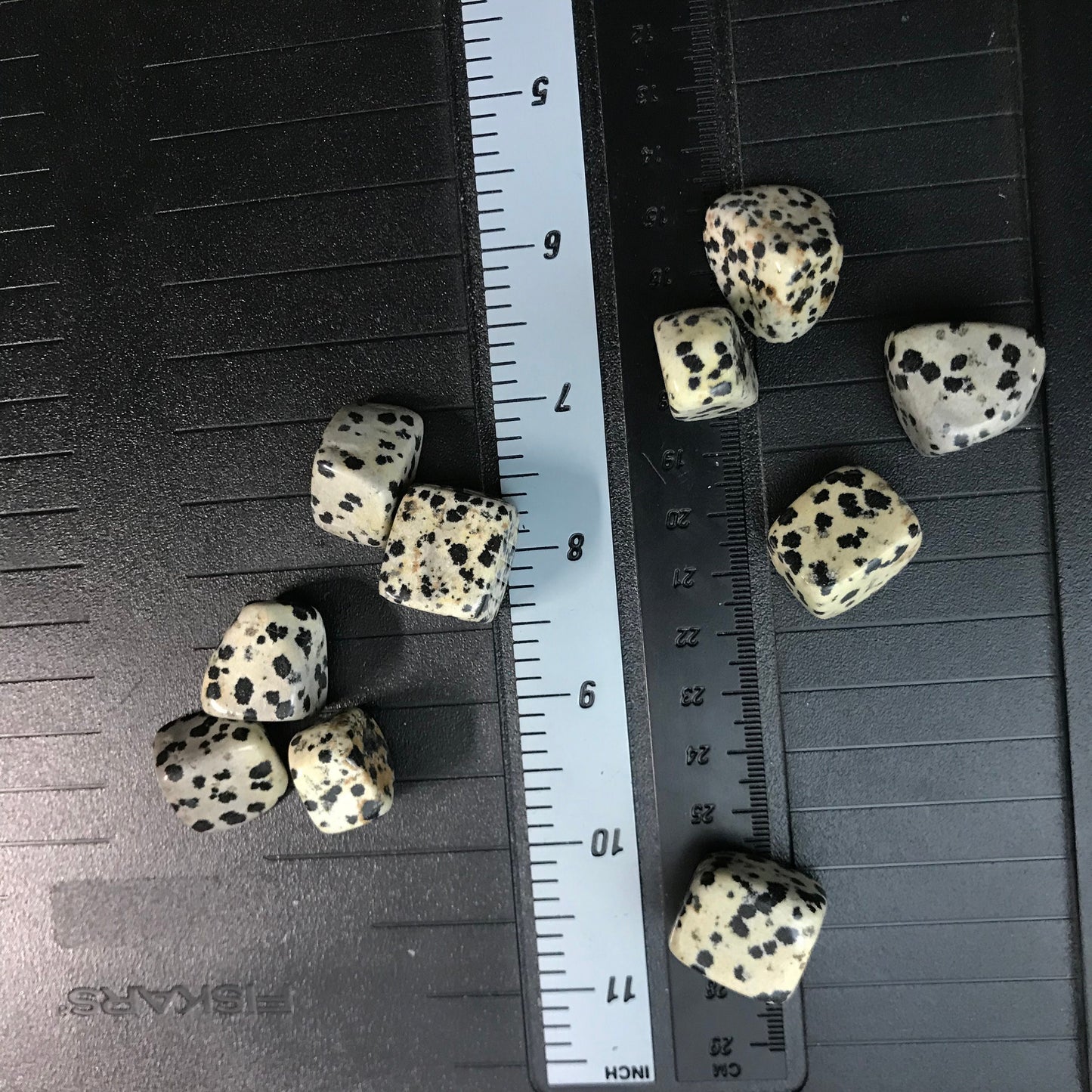 Dalmatian Jasper, Polished Tumbled Stone (Approx 4/5" long) Polished Stone, for Wire Wrapping or Crystal Grid Supply BIN-0744