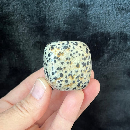 Dalmatian Jasper Large Cube Tumbled Stone, 1 Pound Bag WT-0041-A