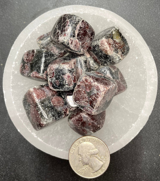 Garnet in Arfvedsonite Tumbled Stone, 1 Pound Bag (Approx. 20-35 mm) WT-0053