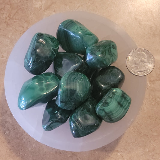 Malachite Tumbled Stone, 1 Pound Bag (Approx. 20-30 mm) WT-0089