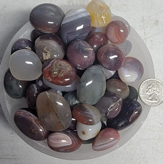 Plum Agate Tumbled Stone, 1 Pound Bag (Approx. 20-30 mm) WT-0107