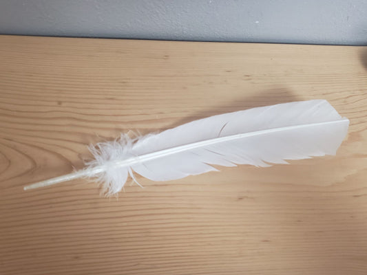 Large White Smudging Feather 1637