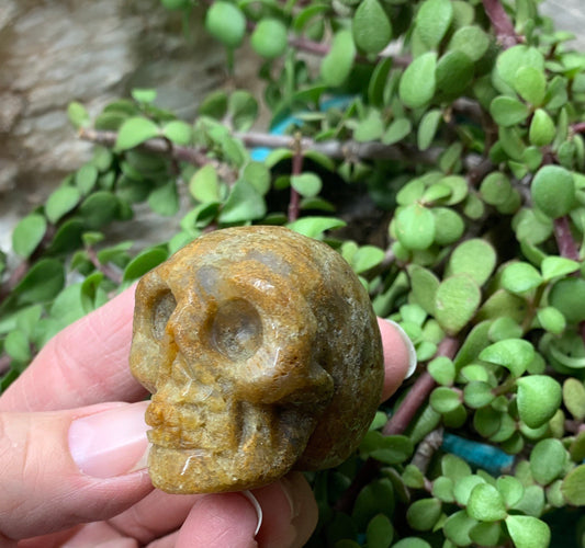 Coral Fossil Agate Eye Carved Skull 0235