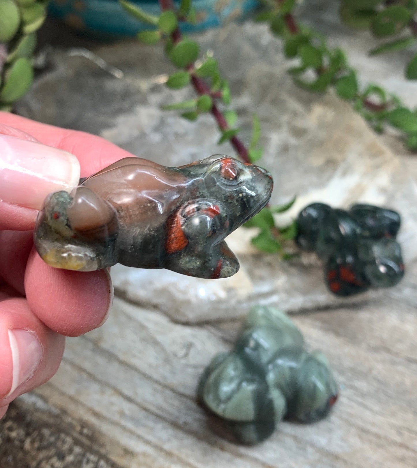 African Blood Agate Carved Frog 0111