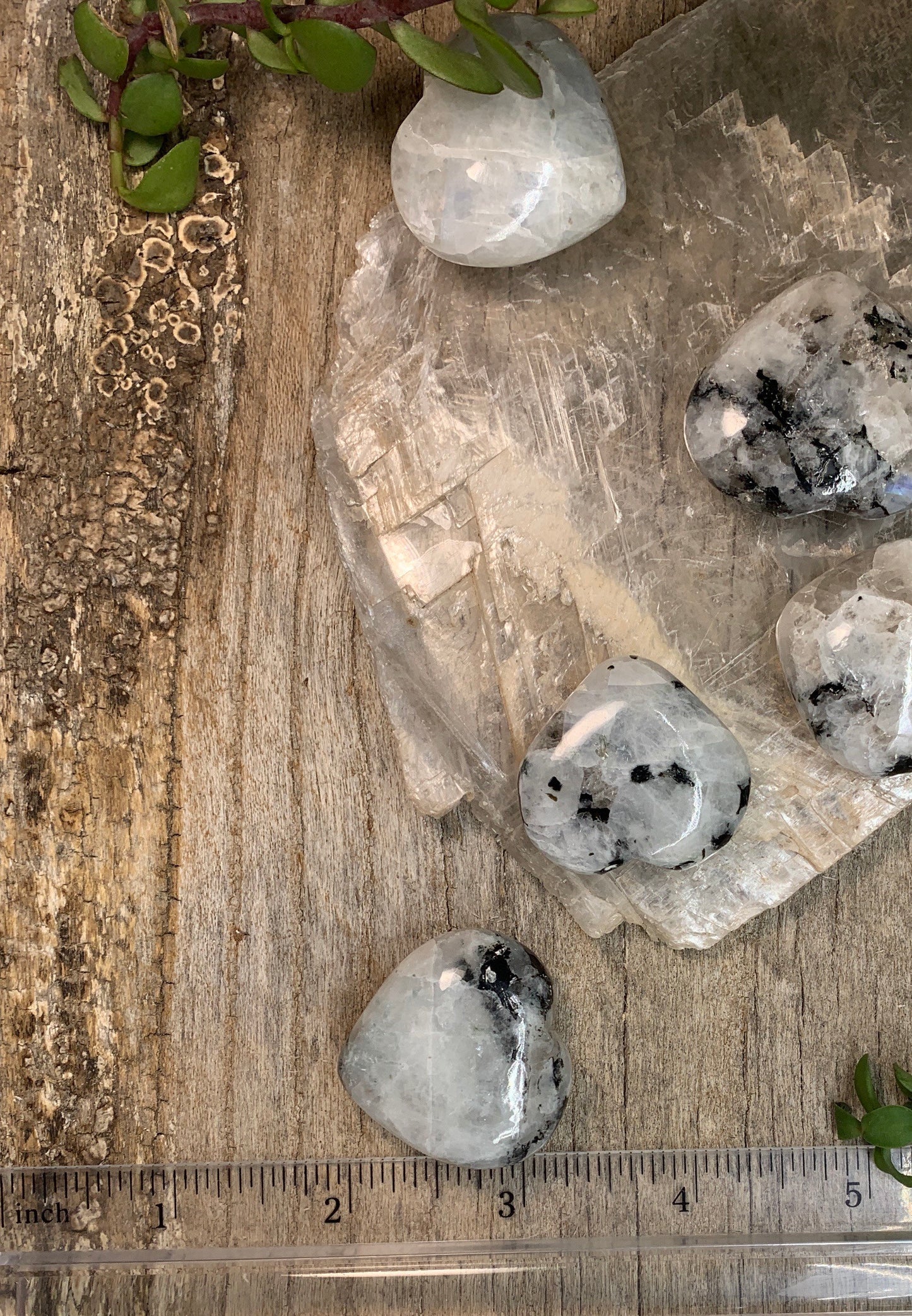 Rainbow Moonstone Heart (Approx. 1 1/8" - 1 5/8") 1427