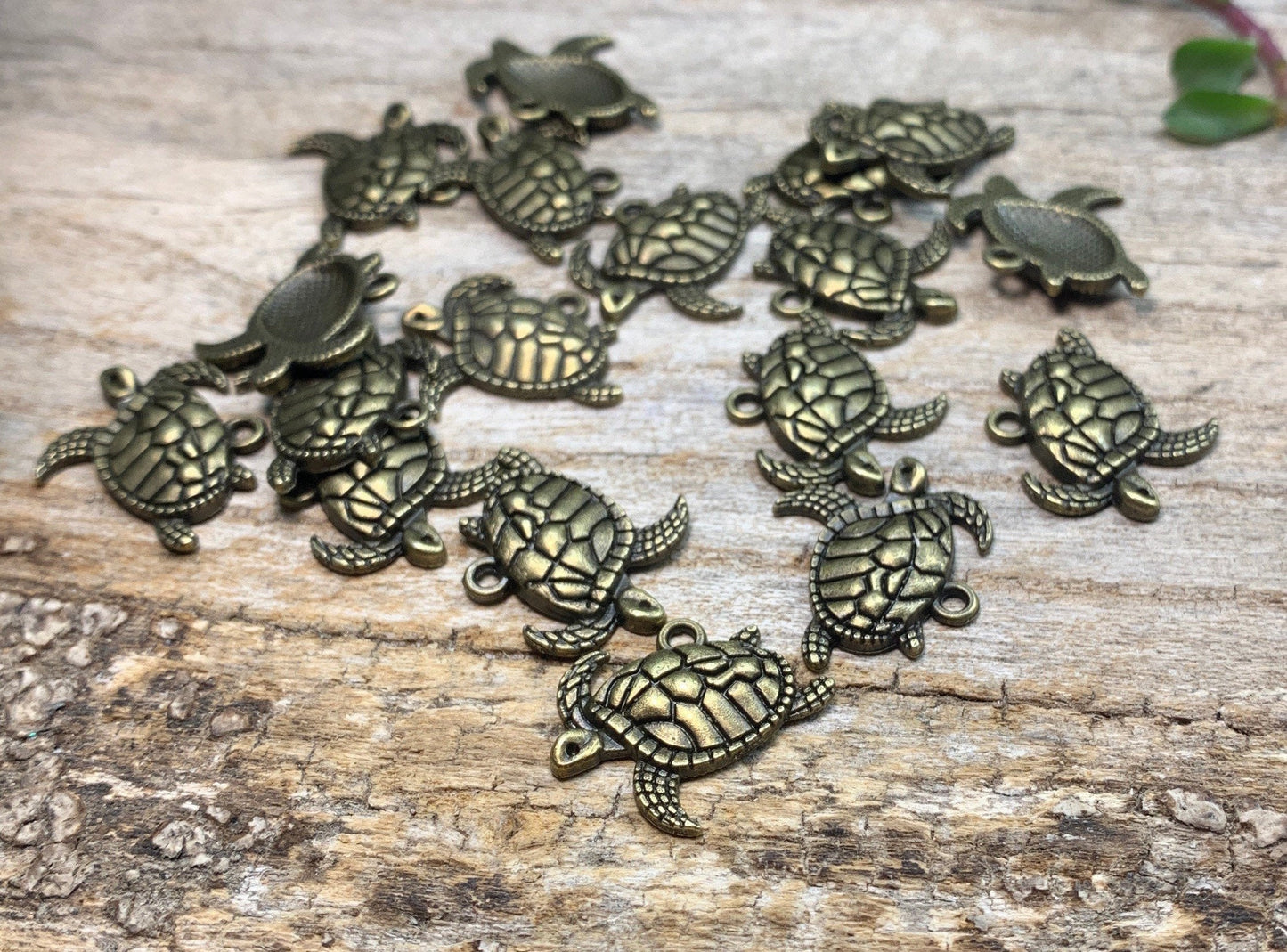 Turtle Pendant Antique Bronze 0484-B