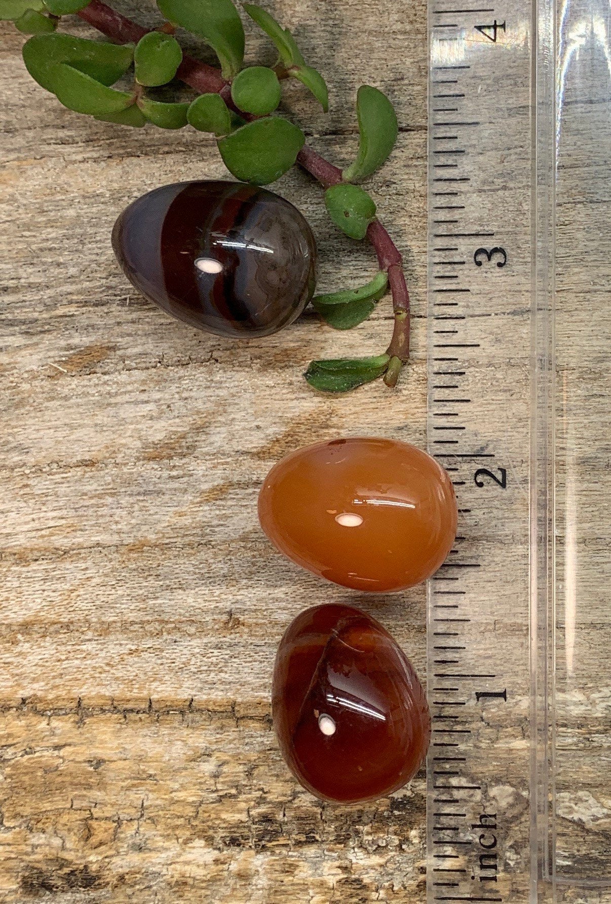 Carnelian Agate Egg 3/4” 0392