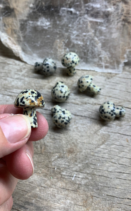 Dalmatian Jasper Mushroom (Approx. 5/8”x 3/4”) 0015