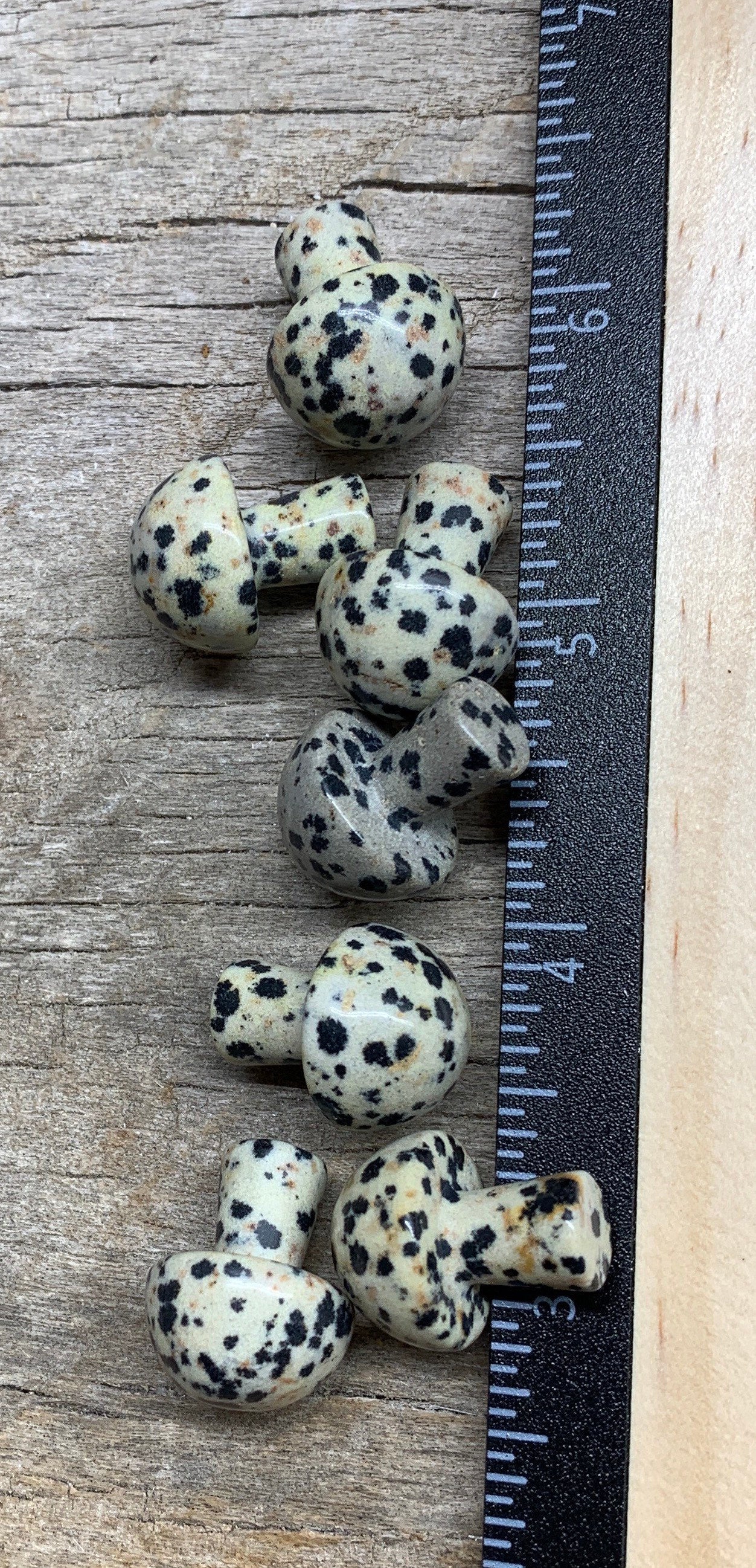 Dalmatian Jasper Mushroom (Approx. 5/8”x 3/4”) 0015