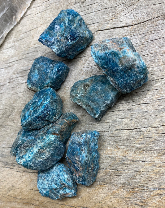 Raw Blue Apatite 1272 (1 1/4- 1 3/4”)