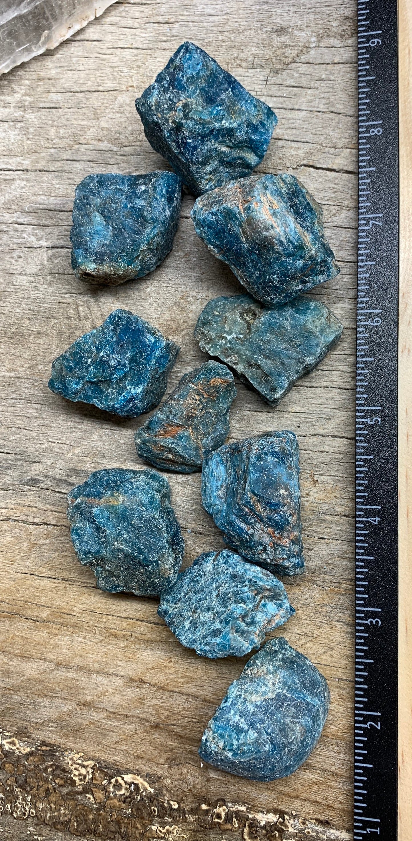 Raw Blue Apatite 1272 (1 1/4- 1 3/4”)