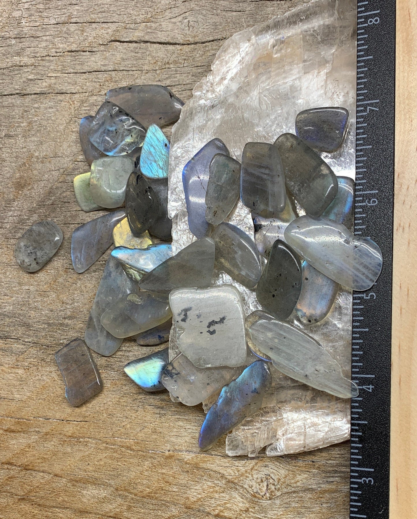 Labradorite Tumble Stone 0656 Small Flat (Approx. 5/8”- 1”)