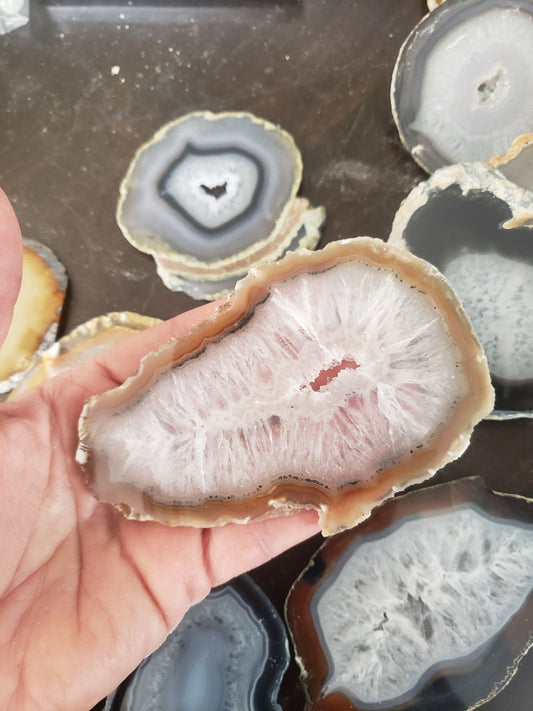 Agate Slice, Polished (Approx. 4 1/2" x 5 1/2") 1285