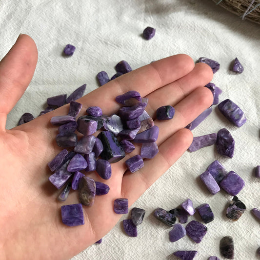 Tumbled Charoite (Approx. 1/2" - 3/4") Purple Polished Stone for Crystal Grid, Wire Wrapping or Craft Supply 1543