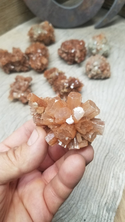 Aragonite Crystal Cluster Explosion. Grounding Focused Attention  (Approx. 1 3/4'' - 2 1/2"), Calming Stone 1292