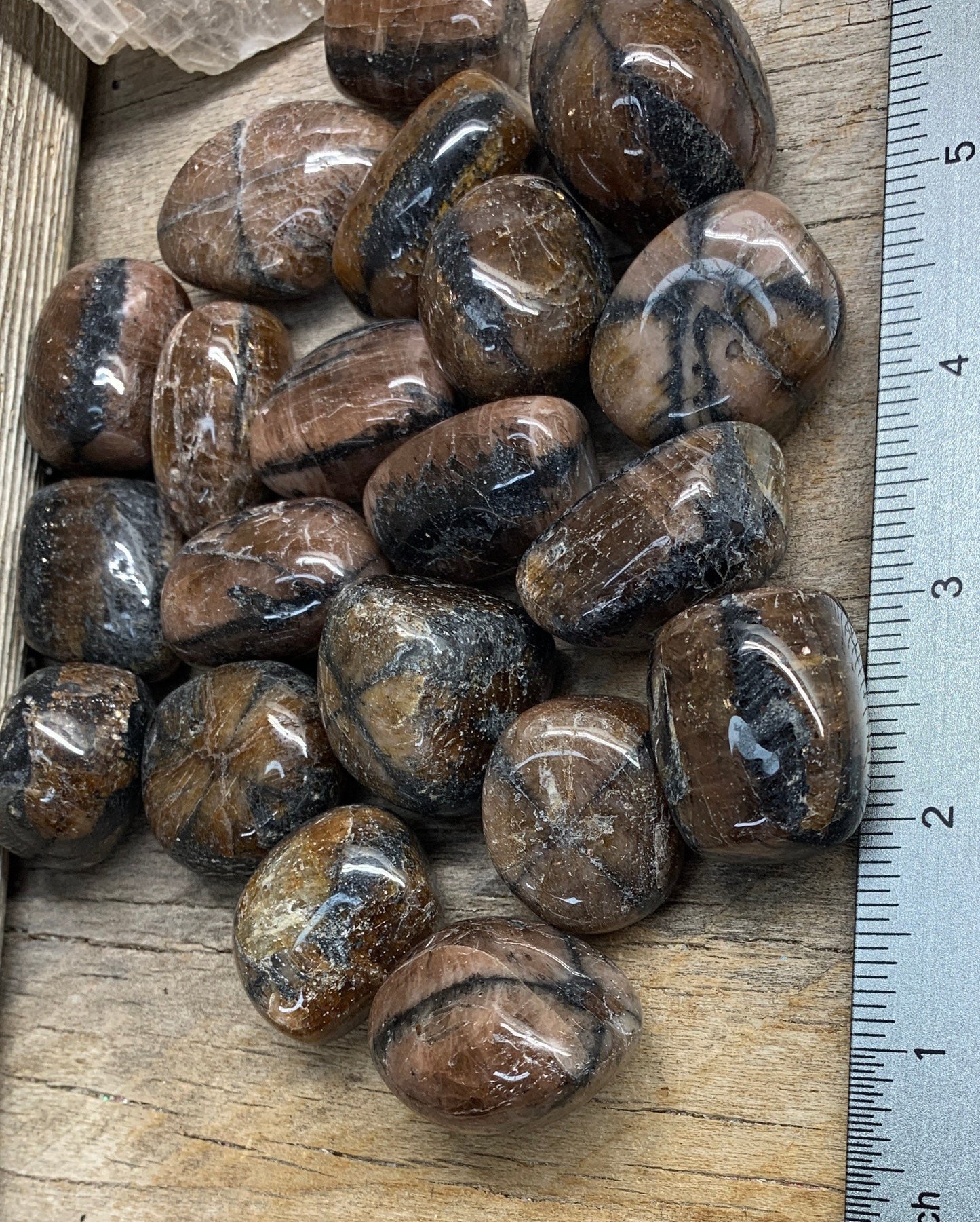 Chaistolite Tumbled Stone BIN-1401 (Approx. 1 1/2”- 1 3/4”)