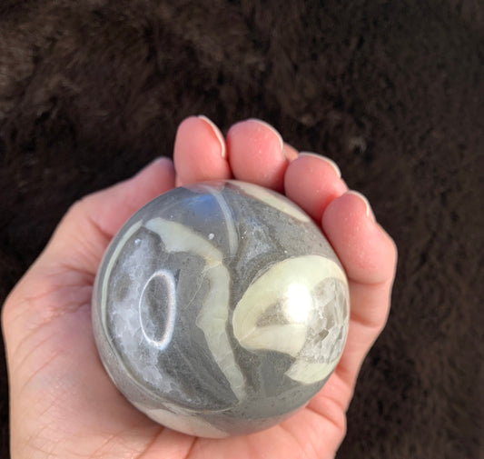 Seashell Fossil Ball , 50 MM, Beautiful, Grounding, Water Zodiac Signs 1458