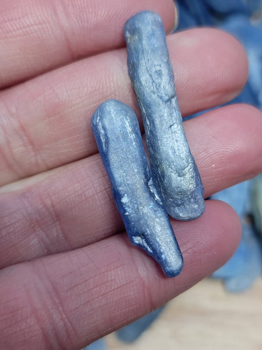 Blue Kyanite Blade One Crystal (Small) Natural, Wire Wrapping, Crystal Grid Making. 1255 (Approx.. 1" - 2 1/2")