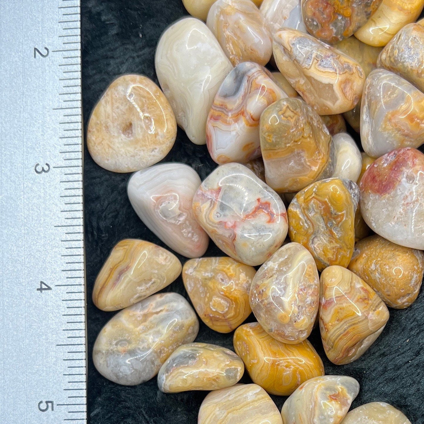 Crazy Lace Agate Tumbled Stone 0619 (Approx. 5/8”- 3/4”)