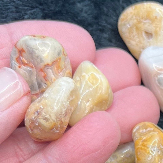 Crazy Lace Agate Tumbled Stone 0619 (Approx. 5/8”- 3/4”)