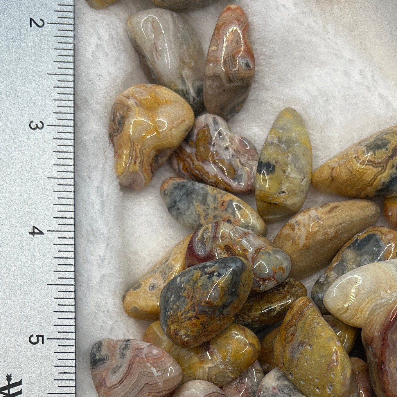 Crazy Lace Agate Tumbled Stone 0597 (Approx. 1”- 1 1/4”)