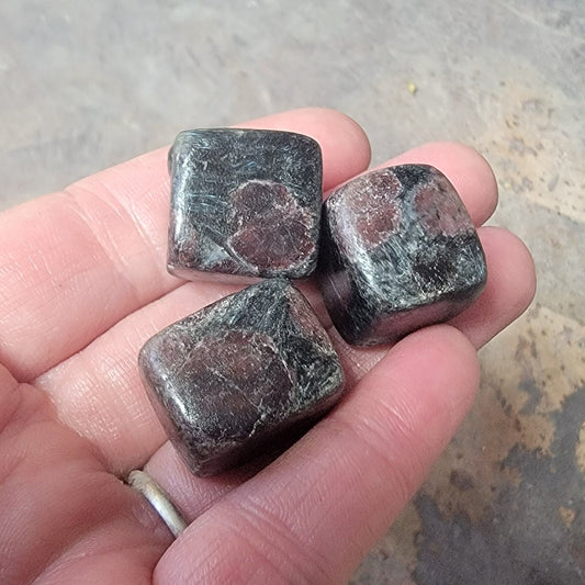 Garnet in Arfvedsonite Polished, Tumbled Stone BIN-1516 (Approx. 5/8" - 7/8")