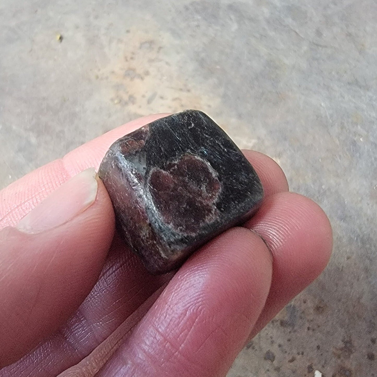 Garnet in Arfvedsonite Polished, Tumbled Stone BIN-1516 (Approx. 5/8" - 7/8")