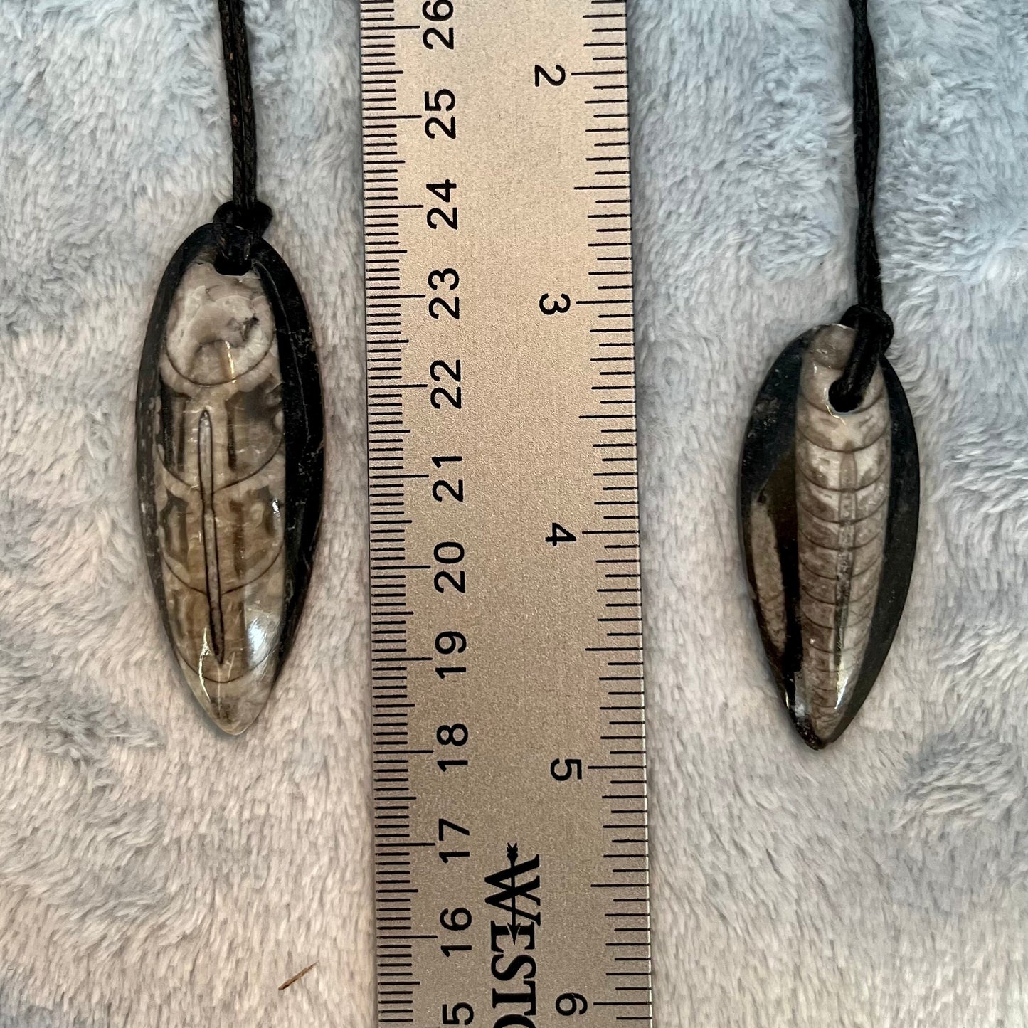Orthoceras Fossil Necklace, Adjustable Cord 1162