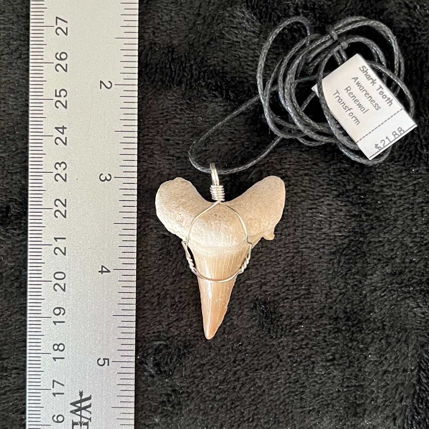 Large Shark Tooth Fossil Wire Wrapped Necklace NCK-2704
