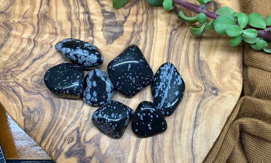 Snowflake Obsidian Tumbled Stone (Approx. 3/4" - 1") 0741