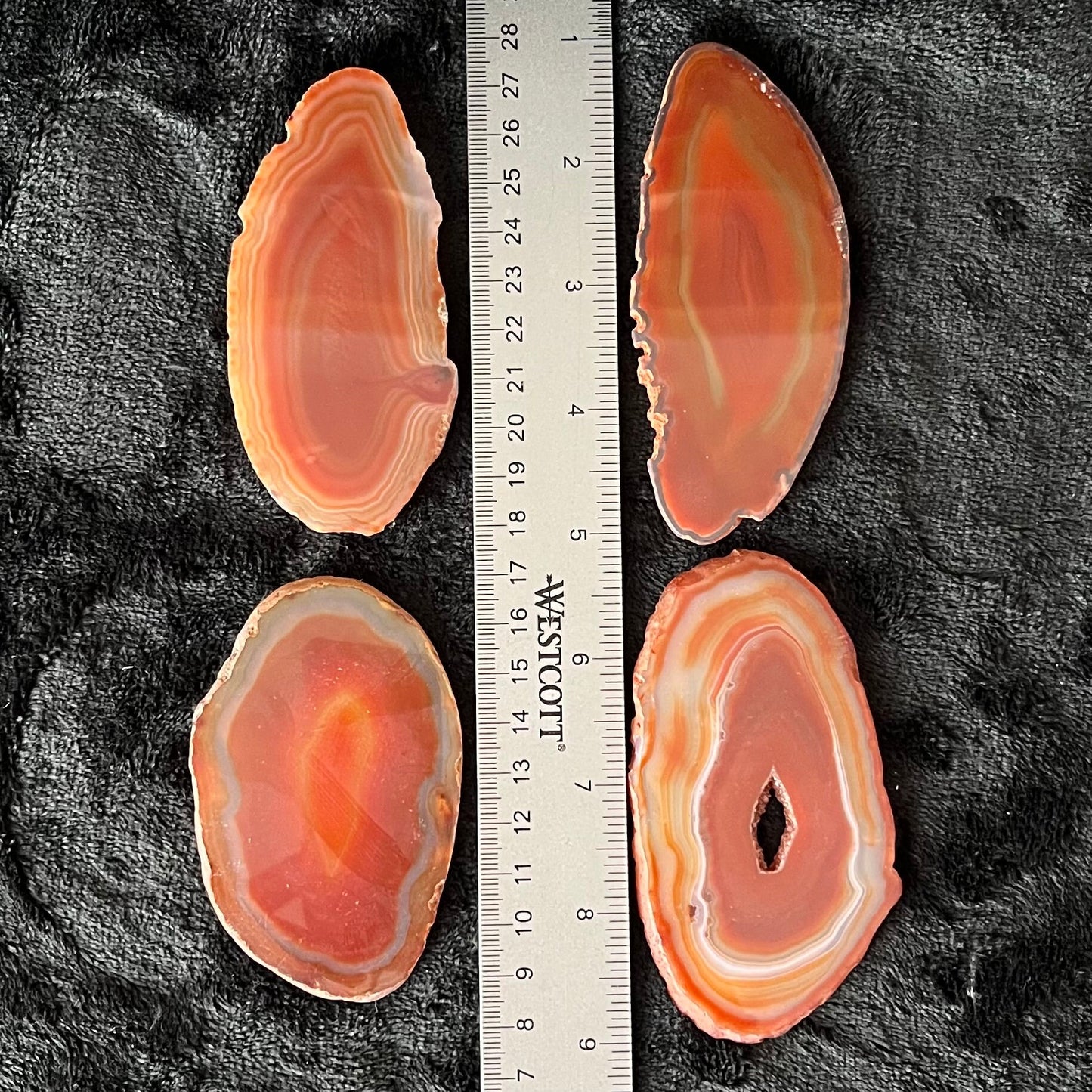 Agate Slice, Carnelian Orange (Approx. 3”-3 1/2”) 0336