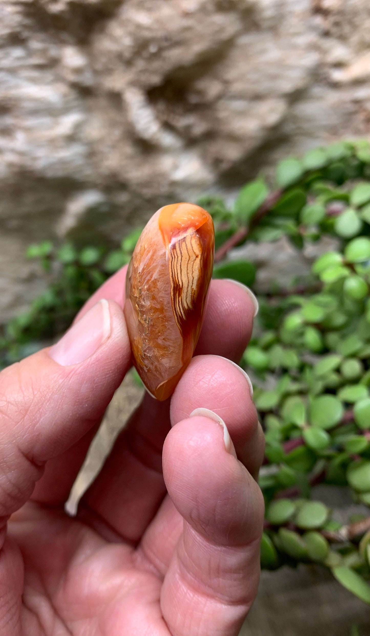 Carnelian Agate Quartz Puffy Heart, Beautiful, Polished, Creativity Stone, Passion, Manifesting Abundance (Approx. 1 1/2”) HRT-0255