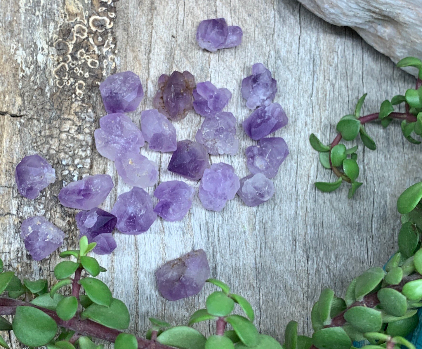 Back Bone Amethyst Crystal (Approx. 1/2" - 3/4") BIN-1113