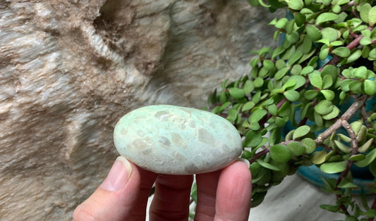 Green Moonstone Palm Stone PLM-0045