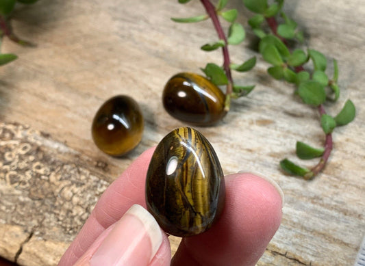 Tiger's Eye Egg 3/4” 0427