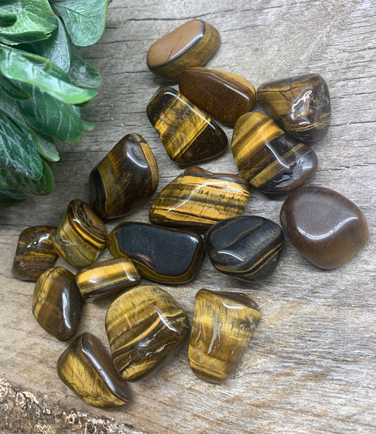 Tiger's Eye Polished Tumbled Stone Large  (Approx. 3/4” -  1") BIN-1413