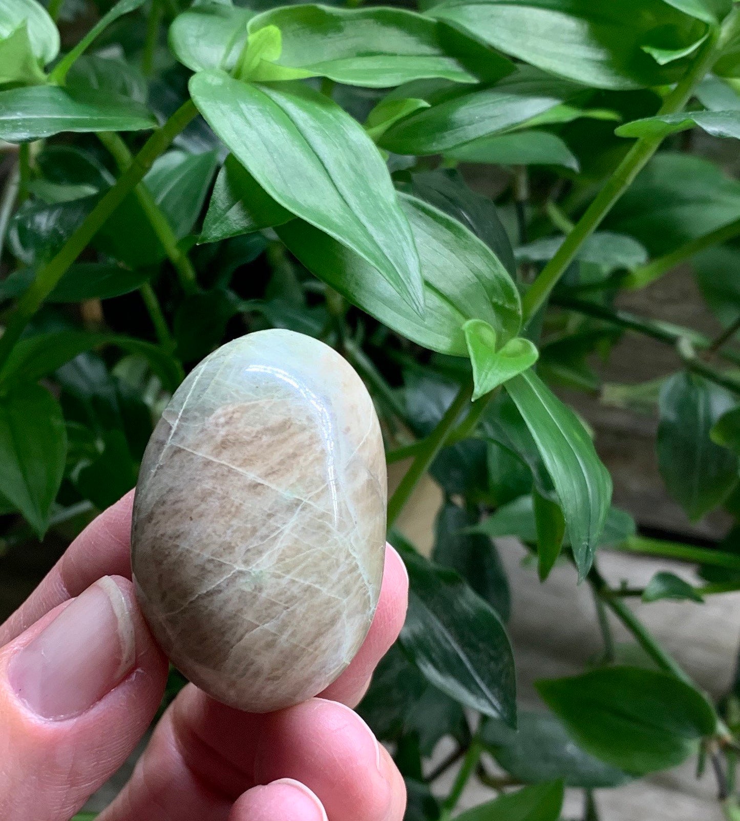 Green Moonstone PLM-0196