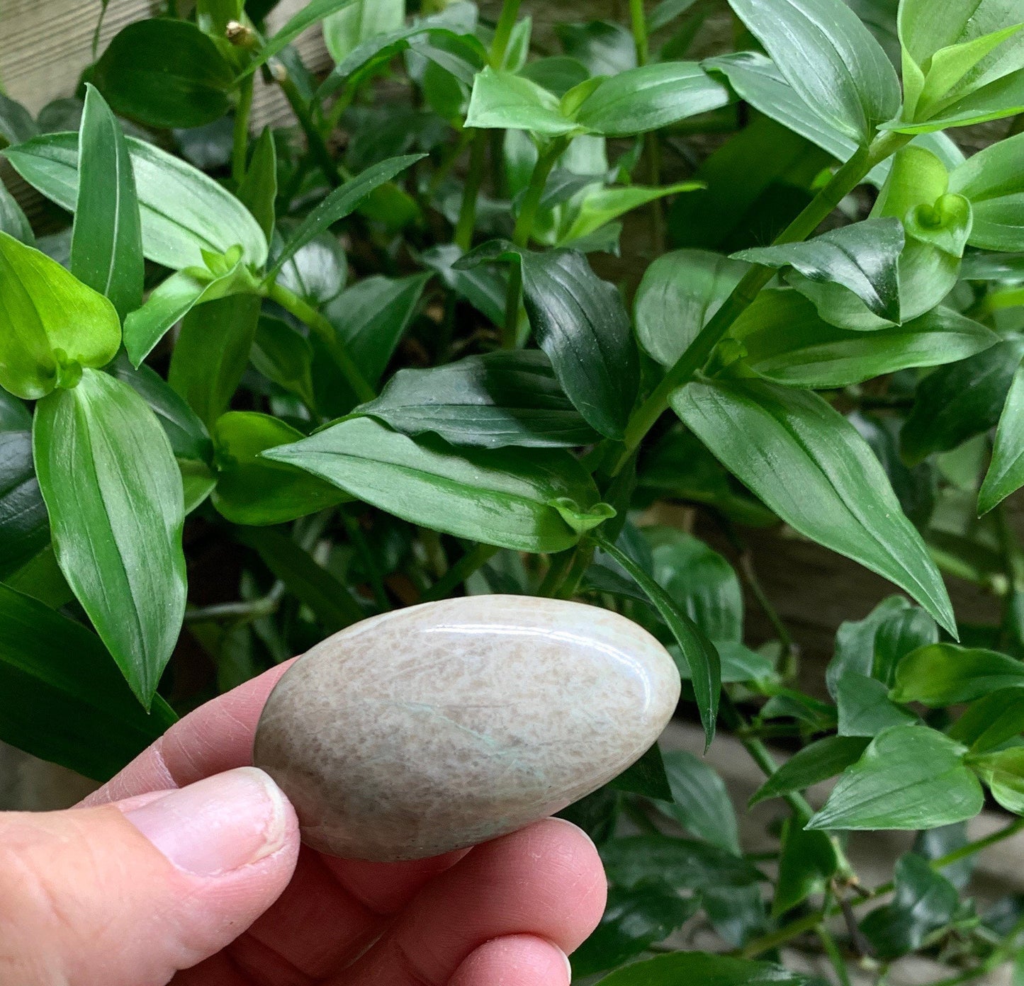Green Moonstone PLM-0062