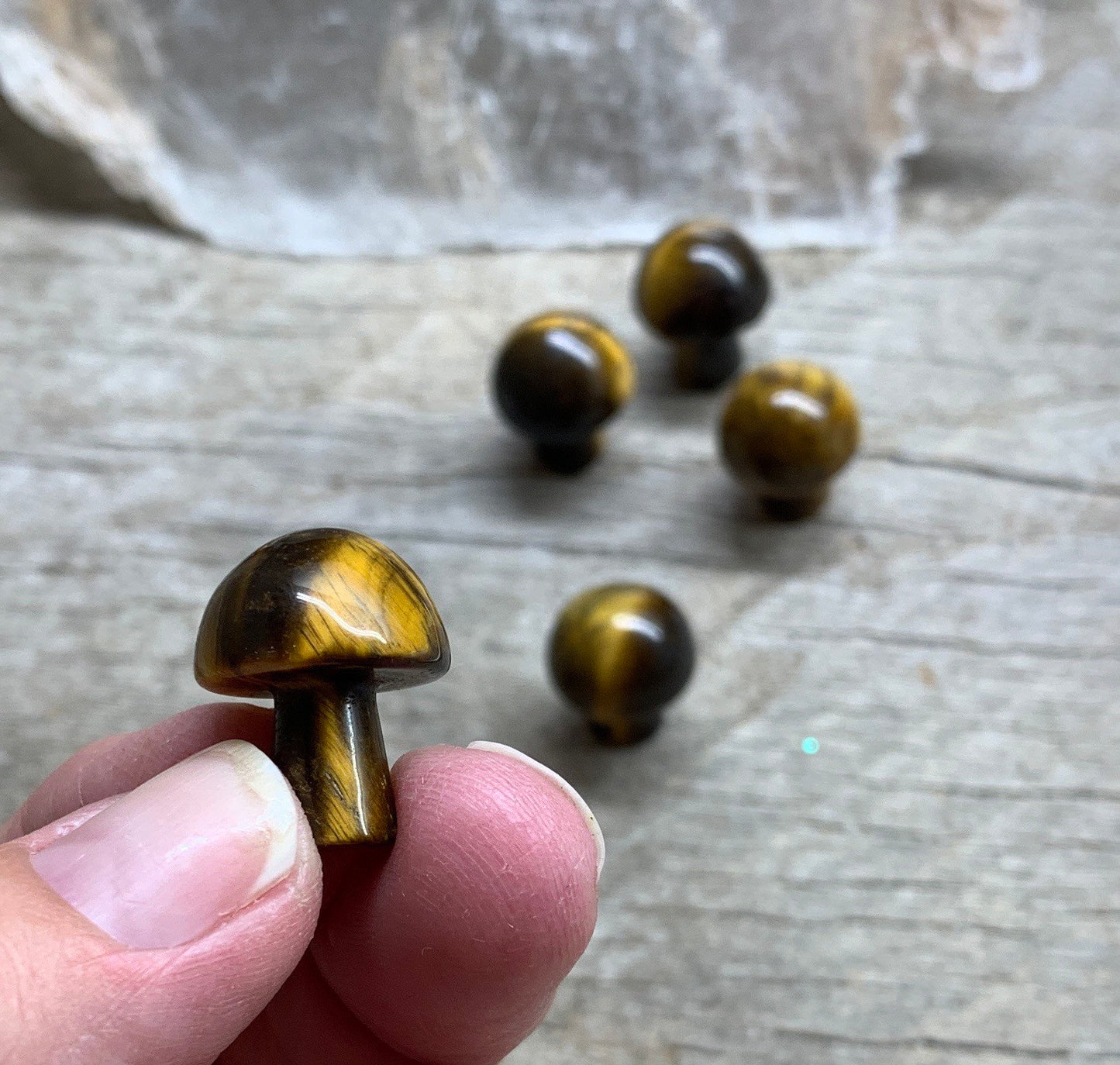 Tiger's Eye Mushroom (Approx. 5/8” x 3/4”) 0004