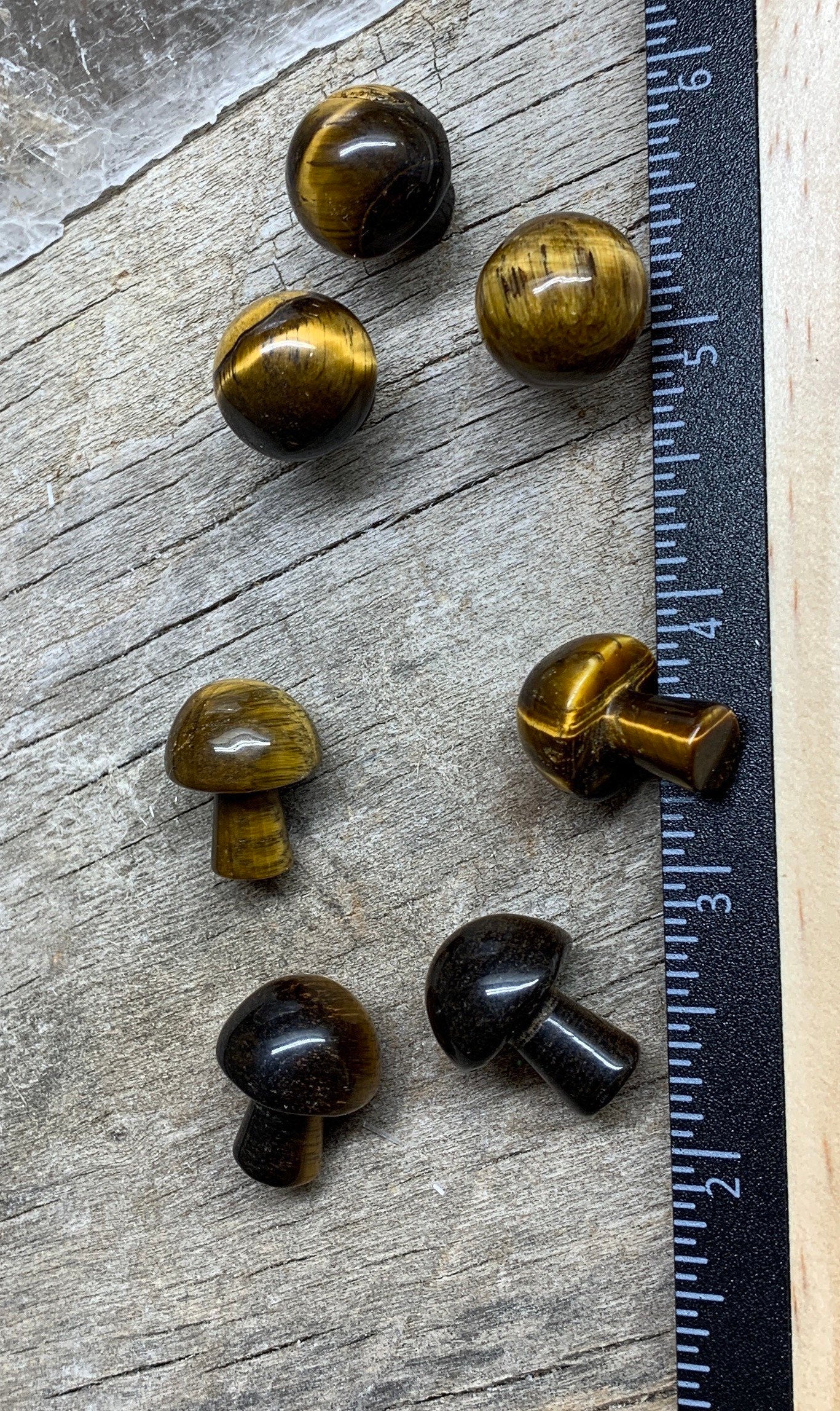 Tiger's Eye Mushroom (Approx. 5/8” x 3/4”) 0004