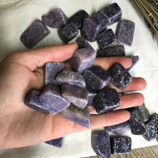 Lepidolite, Polished Tumbled Stone (Approx 3/4" - 1")  Polished Stone of Transition, for Wire Wrapping or Crystal Grid Supply 0632