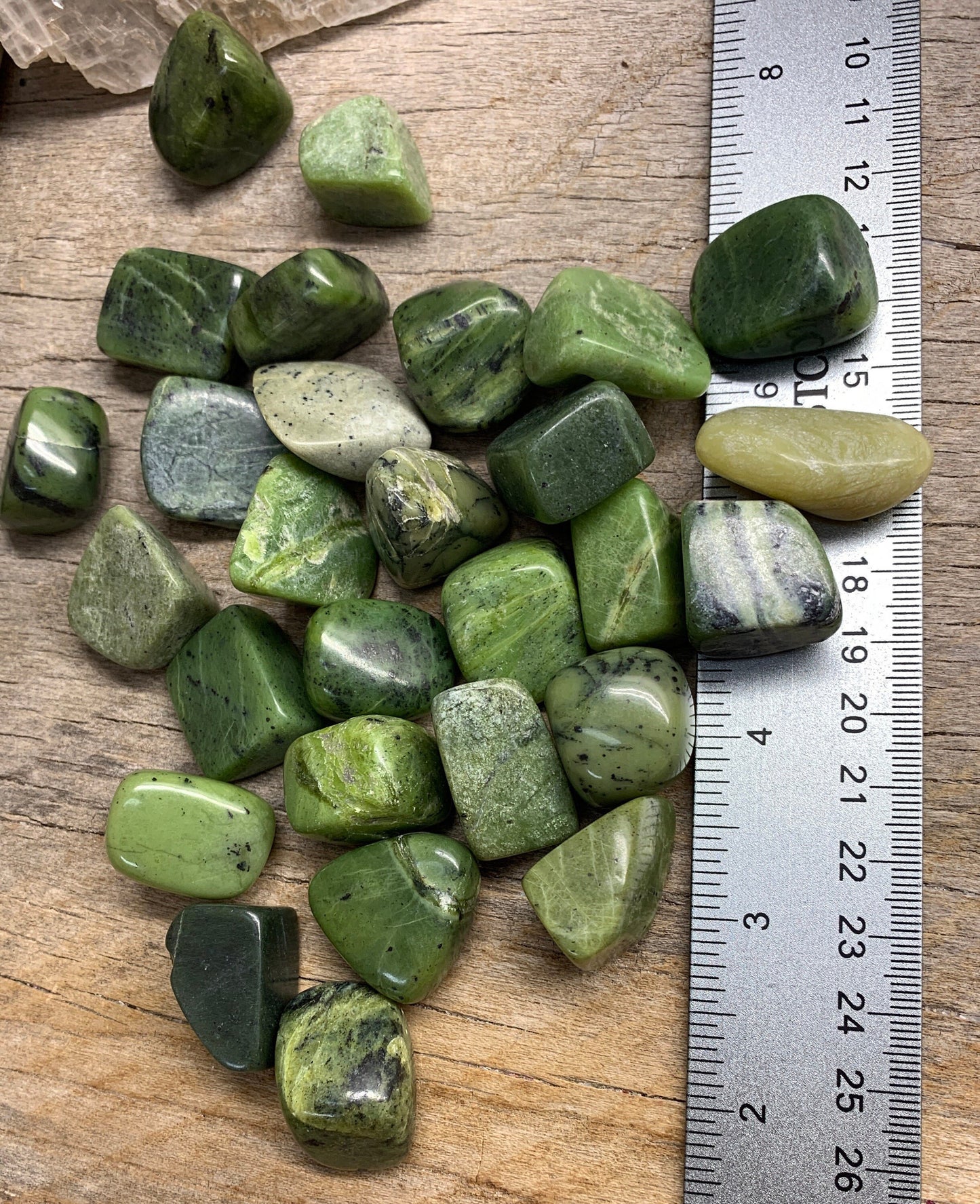 Canadian Jade Tumbled Stone 1529 (Approx. 3/4”- 1 1/4”)