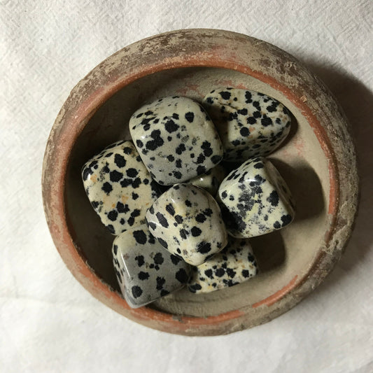 Dalmatian Jasper,  Polished Tumbled Stone (Approx 4/5" long)  Polished Stone, for Wire Wrapping or Crystal Grid Supply BIN-0744