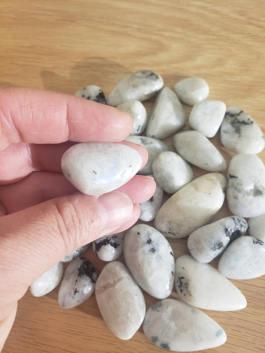 Rainbow Moonstone, Polished Tumbled Stone (Approx 1" -1 1/4" long) Polished Iridescent Stone BIN-1361