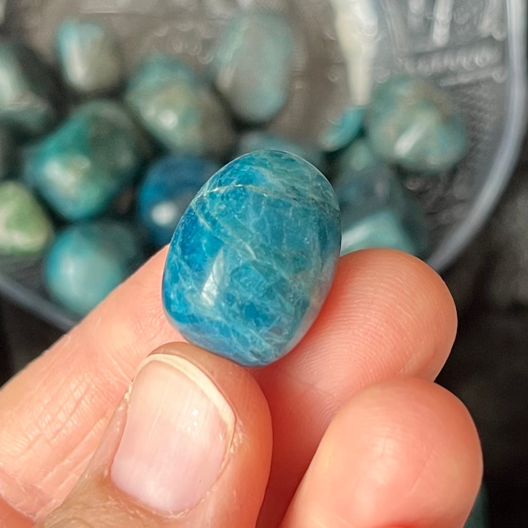 Blue Apatite Tumbled Stones, 1 Pound Bag. WT-0009