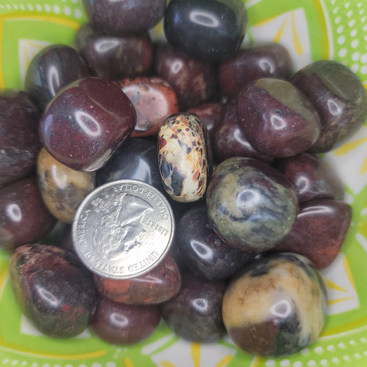 Breciated Jasper Tumbled Stone, 1 Pound Bag (Approx. 20-25 mm) WT-0026