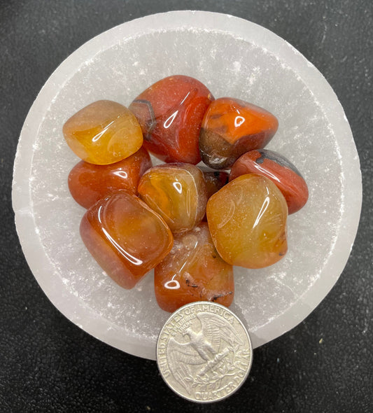 Carnelian Agate Tumbled Stone, 1 Pound Bag (Approx. 20-30 mm) WT-0028