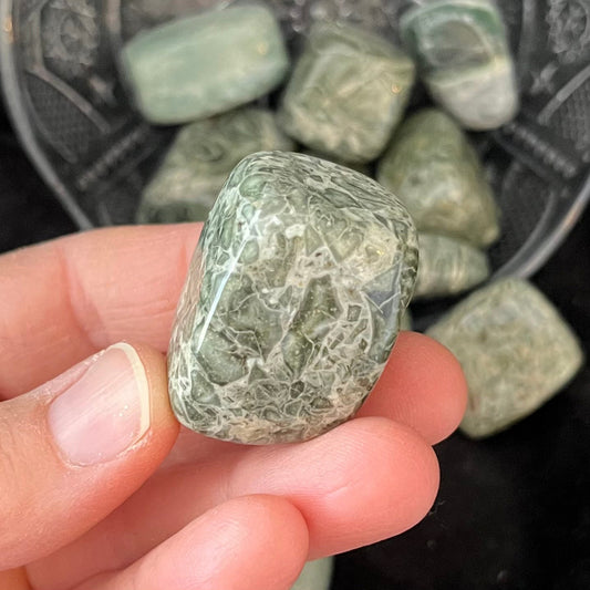 Green Zebrastone Tumbled Stone, 1 Pound Bag  WT-0059