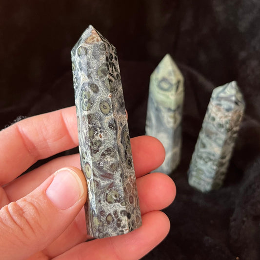 Kambaba (Crocodile) Jasper Obelisk, 1 pound, WO-0004