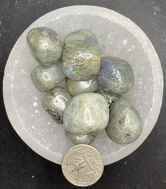 Labradorite Tumbled Stone, 1 Pound Bag (Approx. 20-25 mm) WT-0076